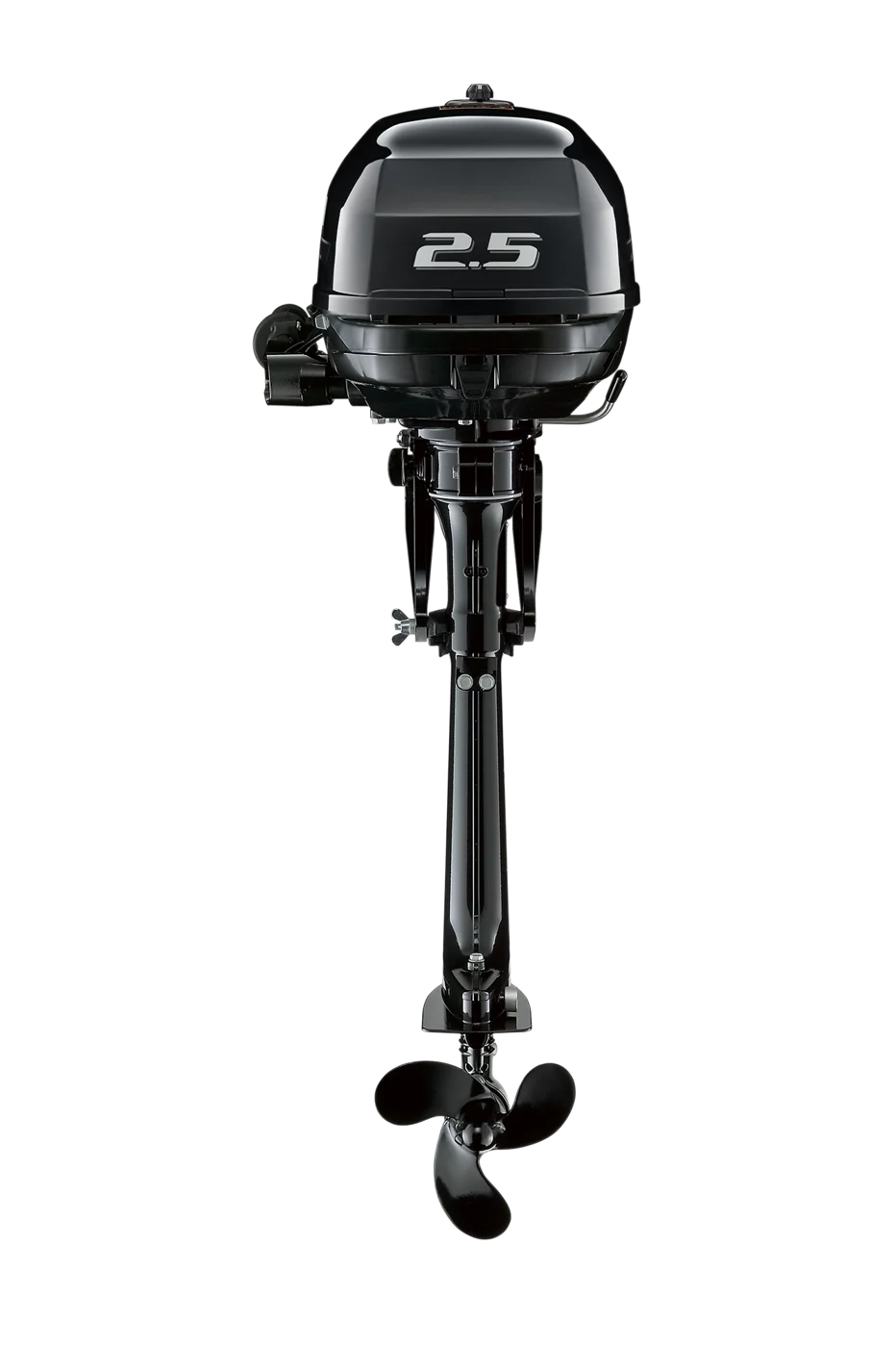 Suzuki DF2,5 – detalj